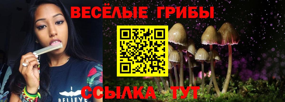 Галлюциногенные грибы MAGIC MUSHROOMS  Псилоцибиновые грибы Psilocybine cubensis  Вход с VPN  Кыштым 